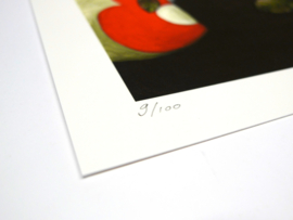 The fool - Limited Edition