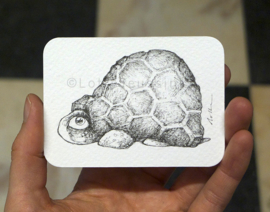 Mini tekening - 6,5 x 9 cm