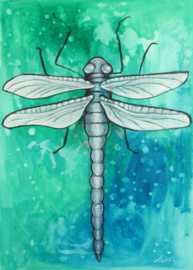 Dragonfly | 38x28cm | FOR SALE