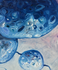 Field Study VI | 40x40cm