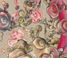 Reality Expanding, Autumn Rising - Limited Edition