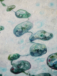 Field Study II | 40x30cm