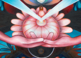 Manifestations of spontaneous order - Limited Edition