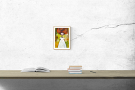 The white dress - art print