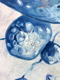 Field Study VI | 40x40cm