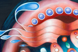 Manifestations of spontaneous order - Limited Edition
