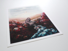 Til Kingdom Come - Limited Edition
