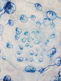 Field Study VI | 40x40cm