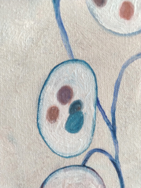 Lunaria - Nebular Fields no.15