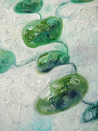 Field Study II | 40x30cm