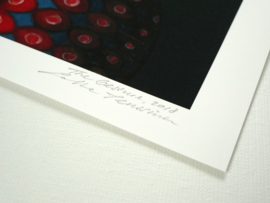 The Gesture - Limited Edition