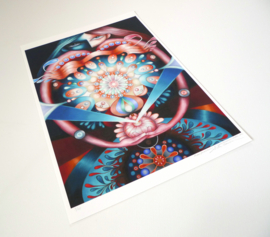 Manifestations of spontaneous order - Limited Edition
