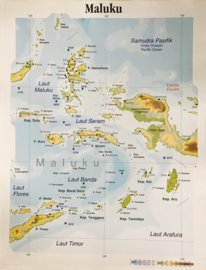 Wandkaart Maluku