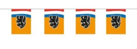 Mini vlaggenlijn Oranje met Leeuw - 4 meter