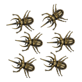 Kever / scarabee 6 stuks - 6 cm (74570B)