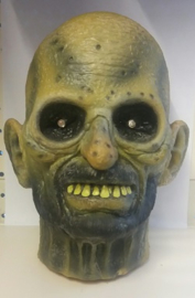 Zombie hoofd met lichtjes (653327GF)