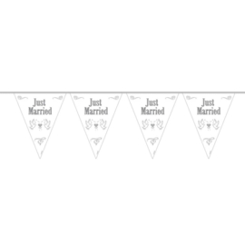 Vlaggenlijn Just married - 10 meter (21057F)