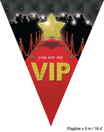 Vlaggenlijn VIP / Hollywood - 5 meter (84636E)