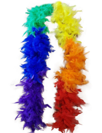 Boa Regenboog 45 gram / 200 cm (53853E)