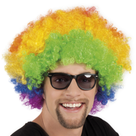 Pruik Afro Regenboog (86021B)