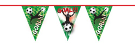 Vlaggenlijn Goal / voetbal / kampioen