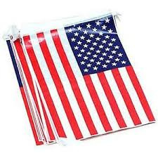 Vlaggenlijn USA - 5 meter - vierkant (01552GF)