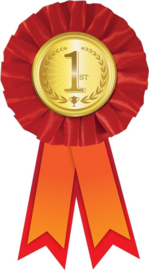 Rozet 1 ST