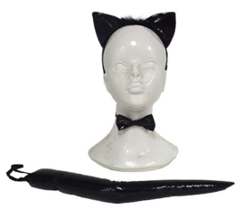 Kattenset zwart glimmend