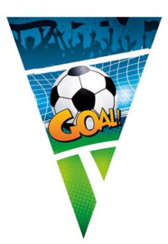 Vlaggenlijn Goal / voetbal / kampioen
