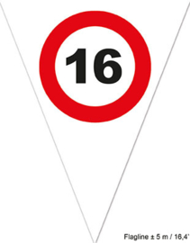 Vlaggenlijn 16 Verkeersbord - 5 meter (84482E)
