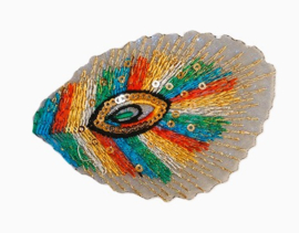 Embleem / applicatie Pauwenveer - Regenboog