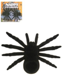 Spinnen 2 stuks - 16 cm