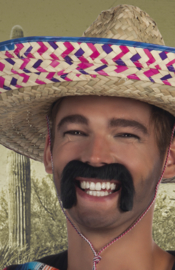 Snor Mexicaan zwart (01807B)