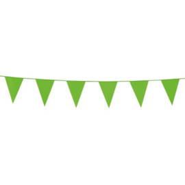 Mini vlaggenlijn Licht Groen - 3 meter
