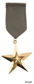 Medaille (broche) militair (51231E)