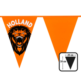 Oranje vlaggenlijn Brullende leeuw Holland