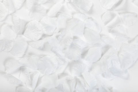 Rozenblaadjes Wit / Rose petals White 144 stuks