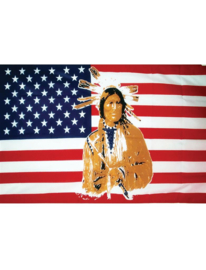 Vlag USA / VS Native - 90 x 150 cm