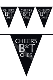 Vlaggenlijn Cheers Bitches - 6 meter (H37513)