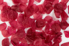 Rozenblaadjes Donker Rood / Rose petals Dark Red 144 stuks