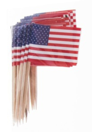 Prikkers USA - VS
