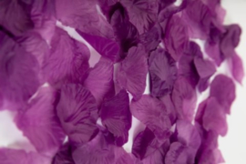 Rozenblaadjes Paars / Rose petals Purple 144 stuks