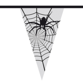Vlaggenlijn Spin / Spinnenweb - 6 meter (74447B)