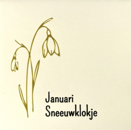 Geboorte tegel || Januari