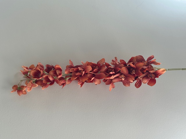 delphinium dark orange