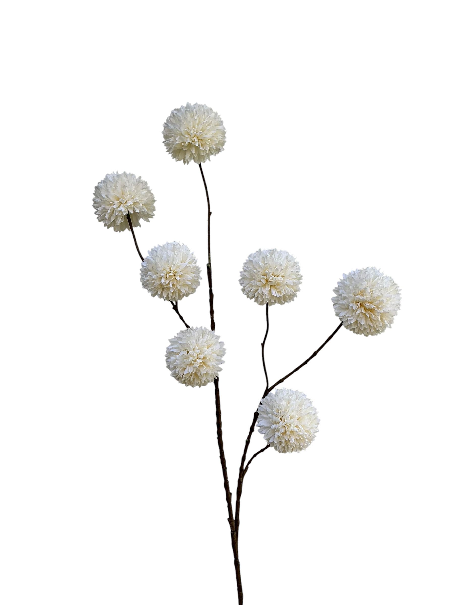 Pompom white