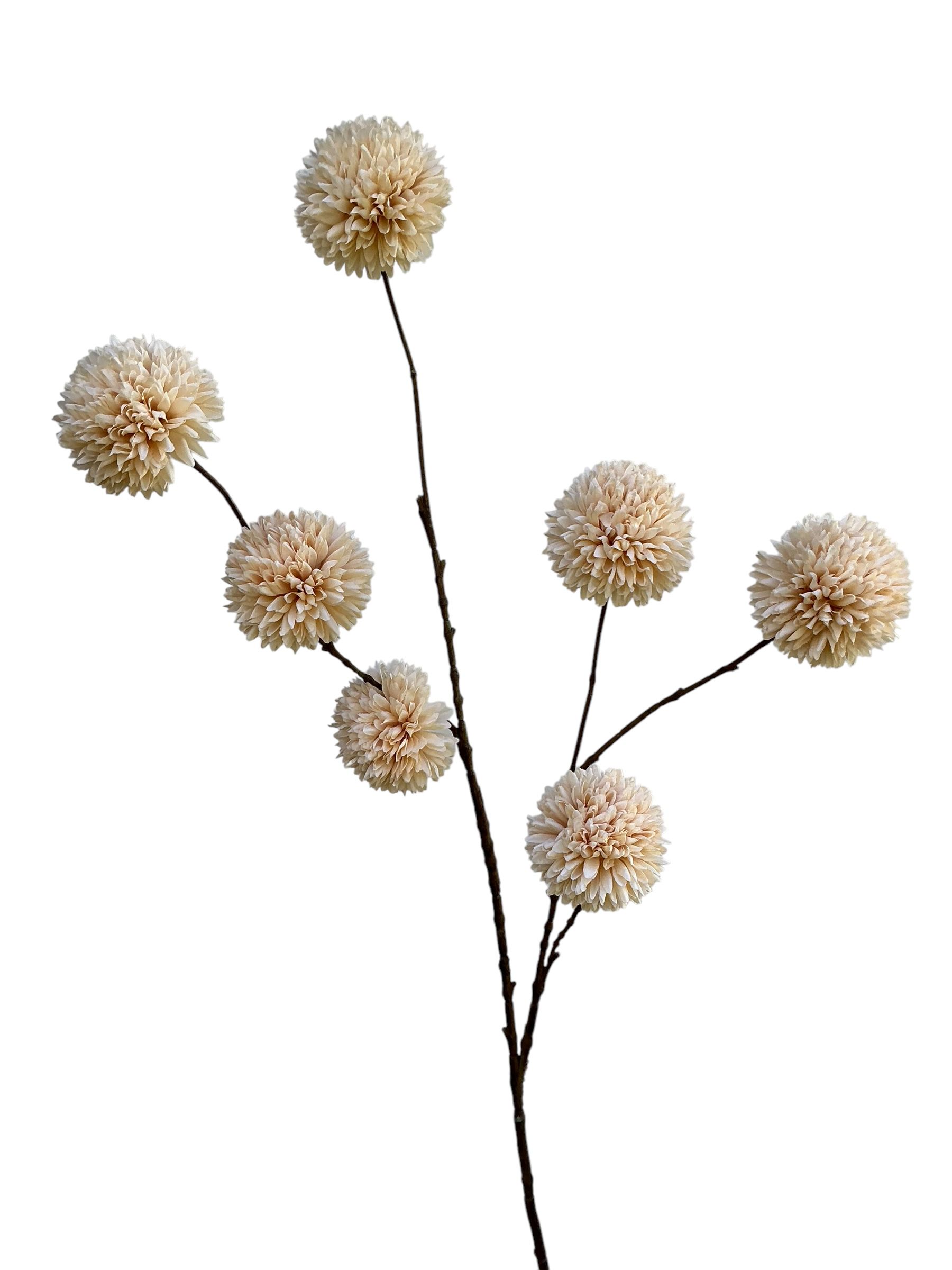 Pompom cream