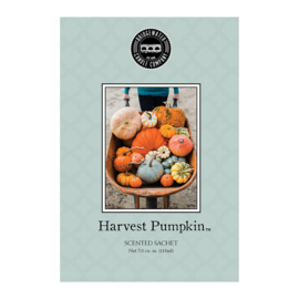 Harvest pumpkin  || Bridgewater