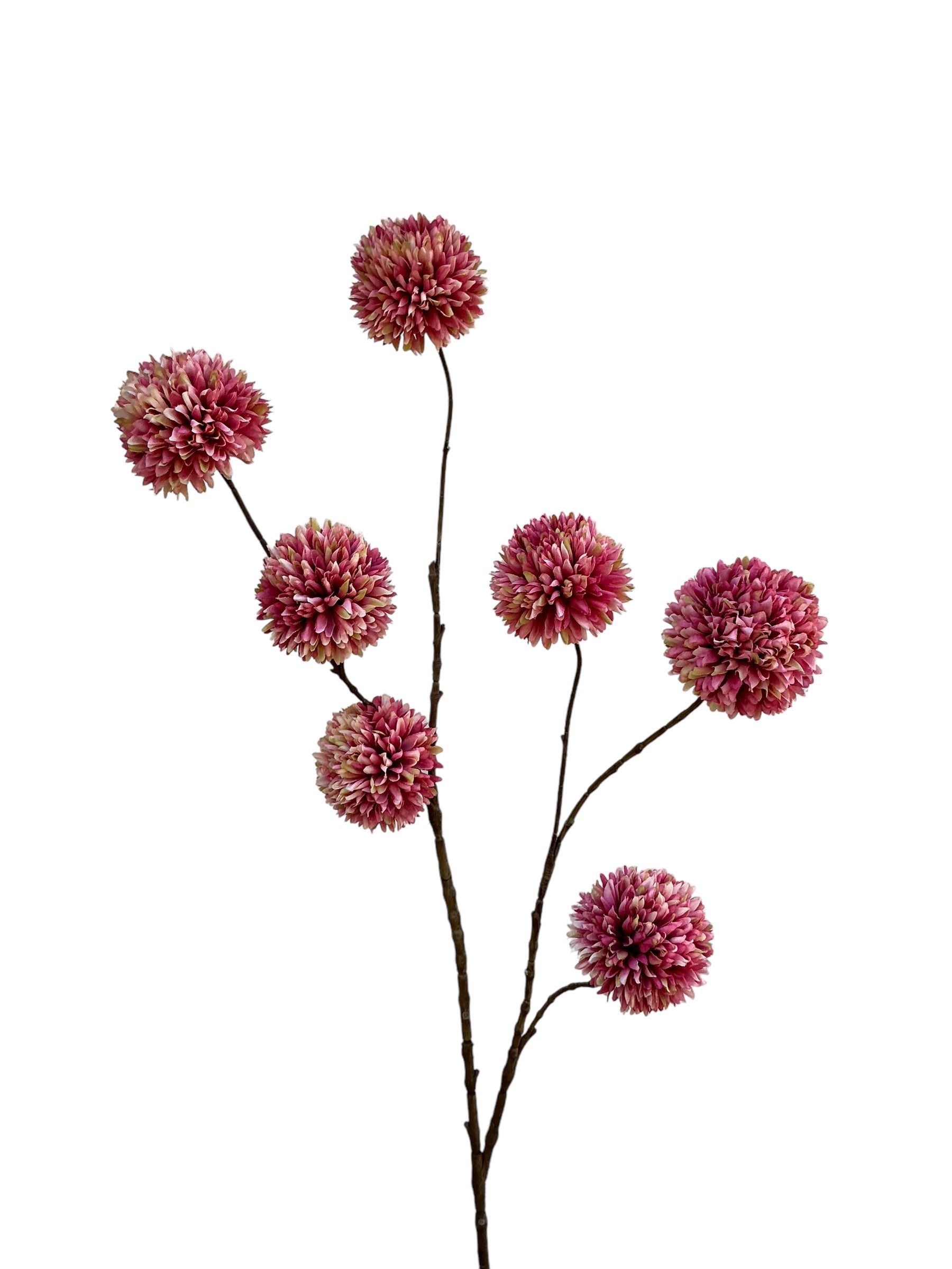Zijdebloemen