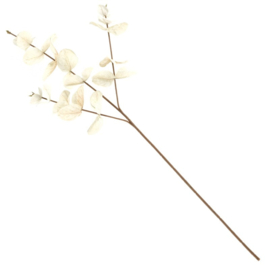 Zijdebloemen